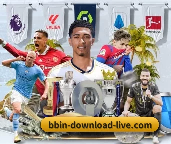 BBIN下载 APP