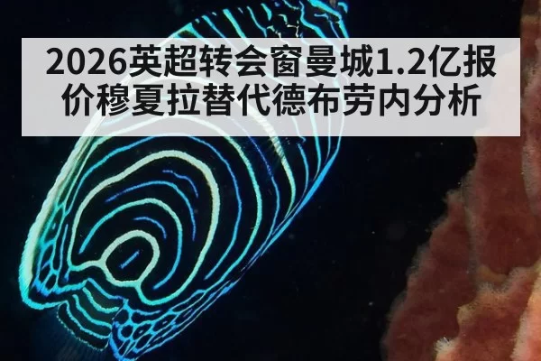 2026英超转会窗曼城1.2亿报价穆夏拉替代德布劳内分析