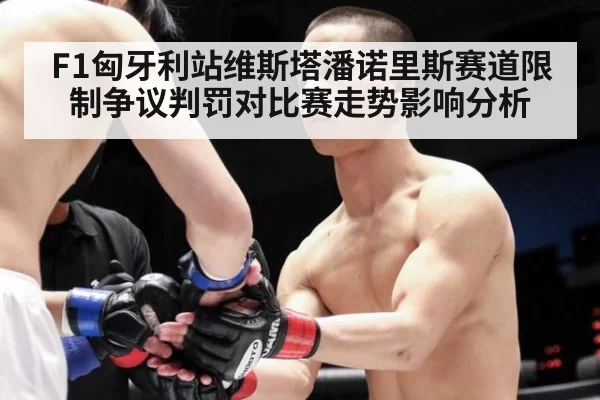 F1匈牙利站维斯塔潘诺里斯赛道限制争议判罚对比赛走势影响分析