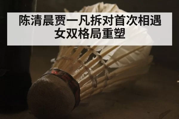 陈清晨贾一凡拆对首次相遇 女双格局重塑