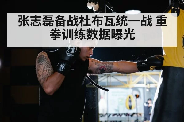 张志磊备战杜布瓦统一战 重拳训练数据曝光