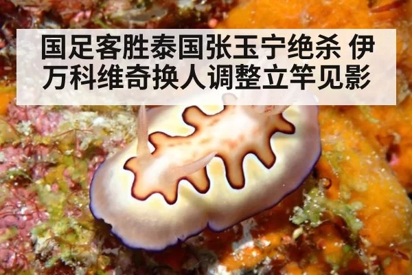 国足客胜泰国张玉宁绝杀 伊万科维奇换人调整立竿见影